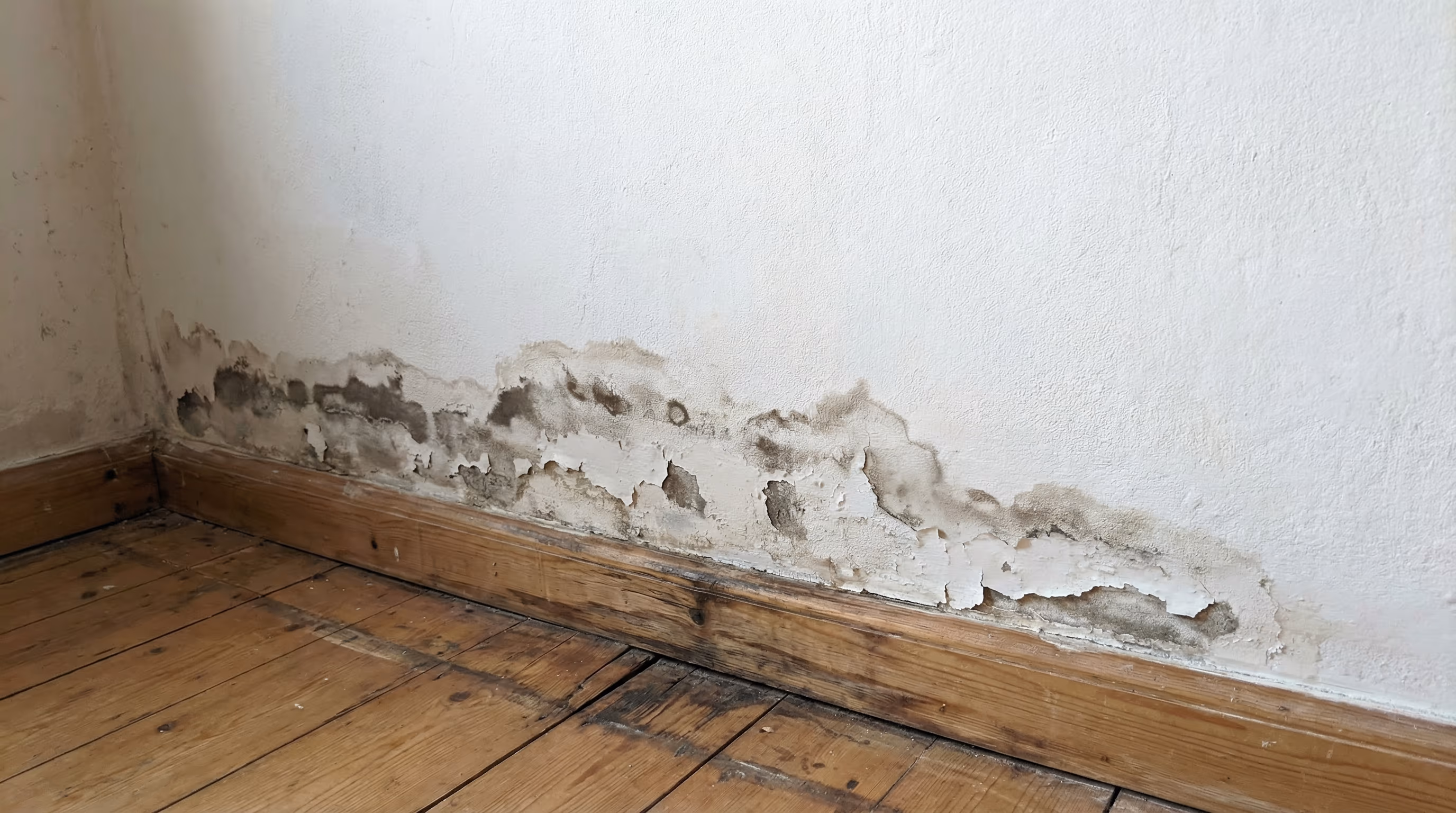 Umidade no Rodapé da Parede: O Que Pode Ser e Como Resolver